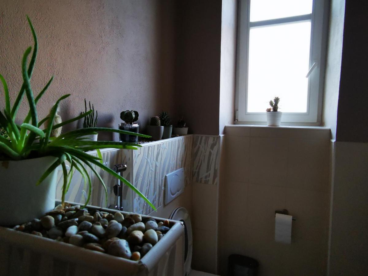 Falcon Apartment Trnava Exterior photo